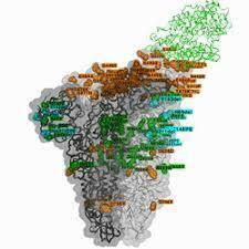 Omicron Variant infection: ஒமிக்ரான் 500% கூடுதல் தொற்றும் தன்மை கொண்டது - புகைப்படத் தொகுப்பு