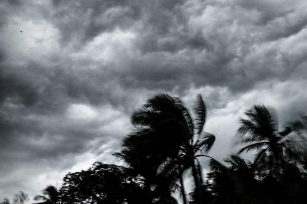 জেলা প্রশাসনের তরফে আশ্বাস দেওয়া হয়েছে, কৃষকদের পাশে থাকতে যাবতীয় ব্যবস্থা নেওয়া হয়েছে।