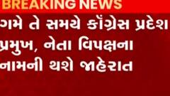 ગુજરાત કોંગ્રેસને જલ્દી જ પ્રમુખ મળી શકે, જુઓ ગુજરાતી ન્યુઝ
