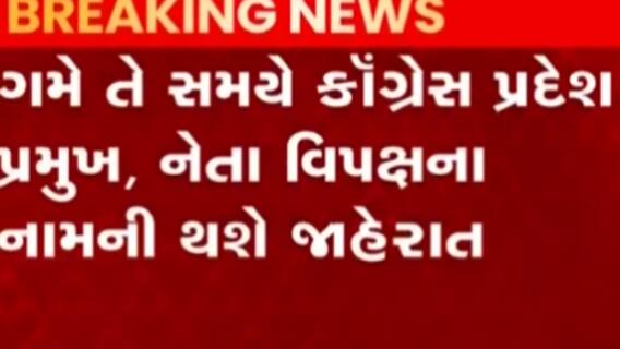 ગુજરાત કોંગ્રેસને જલ્દી જ પ્રમુખ મળી શકે, જુઓ ગુજરાતી ન્યુઝ