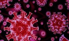 Omicron Variant Cases in India: দক্ষিণ আফ্রিকা ফেরত দুই ব্যবসায়ীর দেহে ওমিক্রন, কবে ফিরেছেন ভারতে?। Bangla News