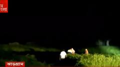 Jhargram: ঝাড়গ্রামে রাস্তার ওপরে দাঁড়িয়ে ৩০ থেকে ৩৫টি হাতি, আতঙ্কে এলাকাবাসী। Bangla News