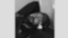 Lucknow के विवेकानंद अस्पताल के इमरजेंसी गेट पर हुई फायरिंग, एक घायल| HINDI NEWS