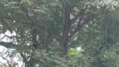 રાજ્યના કયા કયા જિલ્લાઓમાં છે આજે માવઠાની આગાહી?, જુઓ ગુજરાતી ન્યૂઝ