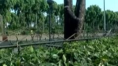 અમદાવાદઃ બાગ-બગીચાની સફાઈના એબીપીના અહેવાલની અસર,અમૂલ પર લેવાયા એક્શન