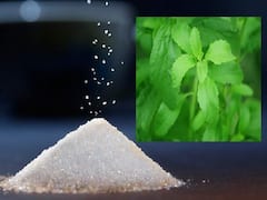 Sugar Alternative: ఈ మొక్క ఆకులు పంచదార కన్నా వందరెట్లు తీపి... చక్కెర బదులు దీన్ని వాడితే బెటర్