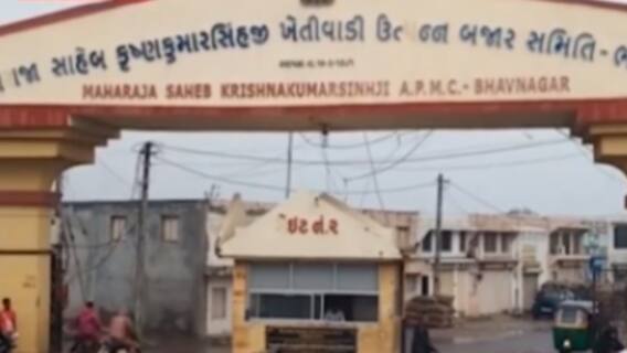 ભાવનગરઃ માર્કેટિંગ યાર્ડના સત્તાધીશોની બેદરકારીના કારણે પલળ્યો મગફળી અને કપાસનો પાક