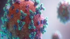 Omicron : धक्कादायक! भारतातील पहिल्या ओमायक्रॉन रुग्णाचा यंत्रणांना चकवा, दुबईला पळाला!