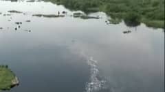 સાબરમતી નદીમાં પ્રદુષણ મામલે ગુજરાત હાઇકોર્ટમાં રિપોર્ટ, જુઓ ગુજરાતી ન્યુઝ