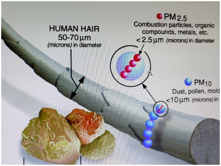 Air Pollution: क्या होता है पीएम 2.5 और पीएम 10, जानिए ये कैसे दर्शाते हैं एयर क्वालिटी?