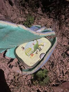 ਗੁਰਦਾਸਪੁਰ 'ਚ ਟਿਫਿਨ ਬੰਬ ਤੇ ਹੈਂਡ ਗ੍ਰੇਨੇਡ ਮਿਲਣ ਨਾਲ ਦਹਿਸ਼ਤ, ਲੋਕਾਂ 'ਚ ਸਹਿਮ ਦਾ ਮਾਹੌਲ