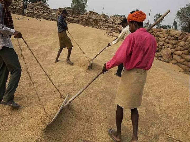 Jharkhand paddy procurement will begin from 15 december, know in details  Jharkhand में 15 दिसंबर से शुरू होगी धान की खरीद, किसानों तत्काल दी जाएगी 50 प्रतिशत राशि 