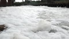 Kolhapur Panchganga Pollution : कोल्हापूरमध्ये पंचगंगा नदीला प्रदूषणाचा पुन्हा विळखा ABP Majha