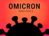 Omicron Cases in India: அச்சுறுத்த தொடங்கும் ஒமிக்ரான் - டெல்லியில் மேலும் ஒருவர்