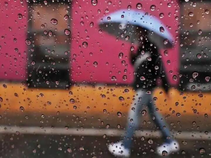 Bihar Weather: ‘जवाद’ चक्रवात का बिहार में नहीं होगा असर, 5 दिसंबर को बारिश के आसार, कई जिलों में छाया रहा कोहरा