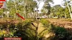 Bear In Alipurduar : ঘুম পাড়ানি গুলিতে কাবু ভালুক, আলিপুরদুয়ারের চা বাগানে কাটল আতঙ্ক |Bangla News