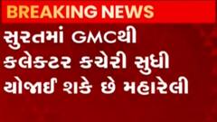 રાજ્યના ચાર મહાનગરોમાં આવતીકાલે યોજાશે સિનિયર તબીબોની મહારેલી, જુઓ ગુજરાતી ન્યૂઝ