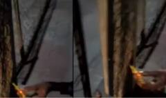 બહુચરાજી તરફ જતા હાઈવે સ્ટ્રીટ લાઈટનો કરંટ વહેતો થયો લોંખડની જાળીમાં, જુઓ ગુજરાતી ન્યૂઝ