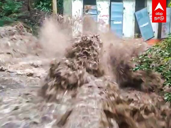 Suruli Falls: மேகமலையில் கனமழை ... சுருளி அருவியில் ஆர்ப்பரித்துக் கொட்டும் வெள்ளம்