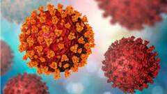 Omicron Variant: ওমিক্রন নিয়ে সতর্ক রাজ্য, বিভিন্ন প্রবেশপথ-বিমান বন্দরে বাড়বে নজরদারি | Bangla News