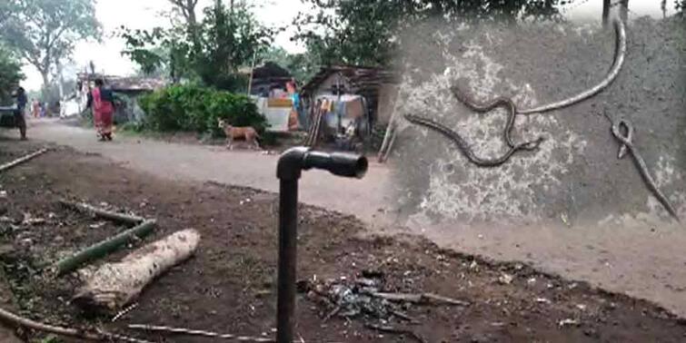 Bankura:  As soon as the water tap is opened, snakes, fish and panic are coming out in Bankura Bankura Poluted Water: পানীয় জলের ট্যাপ খুললেই বেরিয়ে আসছে সাপ, মাছ, আতঙ্ক ছড়াল বাঁকুড়ায়