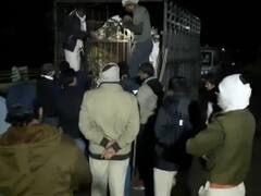 Madhya Pradesh News: चिड़ियाघर से तेंदुआ गायब, एहतियातन चिड़िया घर को किया गया बंद, प्रशासन अलर्ट