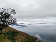 In Pics : सह्याद्रीवर धुक्यांची चादर ; डोळ्यांचे पारणे फेडणारे दृष्य