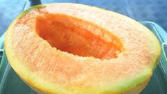 આ છે વિશ્વનું સૌથી મોંઘું ફળ, કિંમત એટલી કે એક લક્ઝુરીયસ કાર આવી જાય