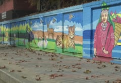 Photos: શ્રીનગરમાં ફરતી વખતે આવી દીવાલો જોવા મળે તો આશ્ચર્ય ન પામતા, આ છે કારણ