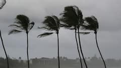 শিরোনাম: গভীর নিম্নচাপে পরিণত হয়ে বাংলায় ঢুকতে পারে জাওয়াদ, বিপজ্জনক বাড়ির ওপর বিশেষ নজর | Bangla News