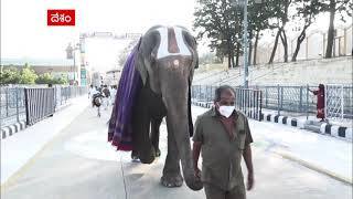 TTD Kartheeka Brahmotsavalu : శ్రీ ప‌ద్మావ‌తి అమ్మ‌వారి వార్షిక కార్తీక బ్ర‌హ్మోత్స‌వాలు