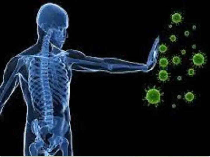 hybrid immunity means in covid 19 know how it helps against omicron Hybrid Immunity : ओमायक्रॉनवर भारतीयांची हायब्रिड इम्युनिटी प्रभावी ठरेल का?