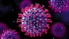 Omicron: ভারতে উদ্বেগ বাড়াচ্ছে ওমিক্রন, করোনা পজিটিভ ৫ | Bangla News