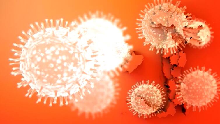 Omicron Variant : first case in Delhi after Tanzania returnee tests positive; 5th in India Omicron Variant : এবার দিল্লিতে, দেশে পঞ্চম ওমিক্রন আক্রান্তের হদিশ মিলল