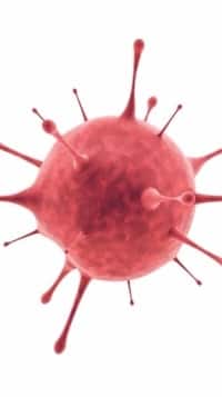 Omicron Variant | As cases surge in India, people remain negligent | Namaste Bharat | 6 Dec 2021