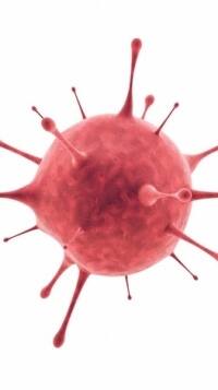 Omicron Variant | As cases surge in India, people remain negligent | Namaste Bharat | 6 Dec 2021