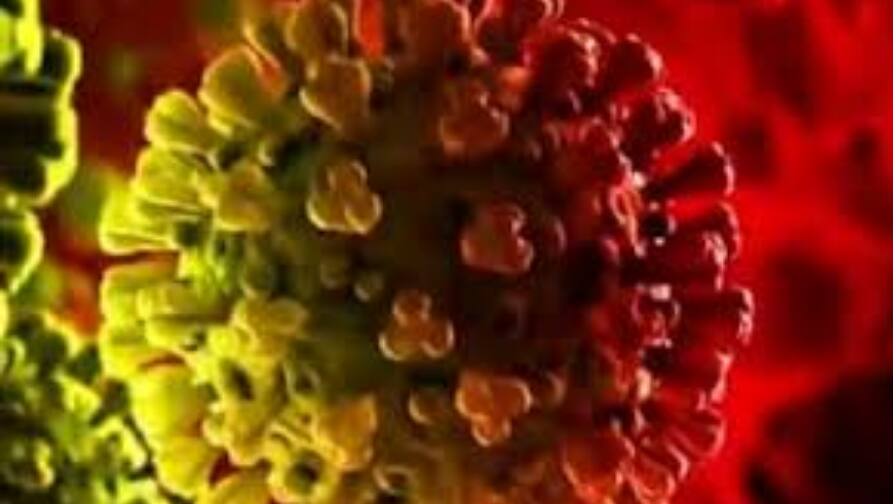 डोंबिवलीत आलेले सहा आंतरराष्ट्रीय प्रवासी कोरोनाबाधित, पालिकेनं केला खुलासा Dombivli Coronavirus Update Six international travelers from Kalyan-Dombivali have been found coronvirus this patient is not a citizen of high risk country डोंबिवलीत आलेले सहा आंतरराष्ट्रीय प्रवासी कोरोनाबाधित, पालिकेनं केला खुलासा