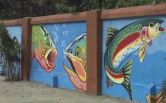 Photos: શ્રીનગરમાં ફરતી વખતે આવી દીવાલો જોવા મળે તો આશ્ચર્ય ન પામતા, આ છે કારણ