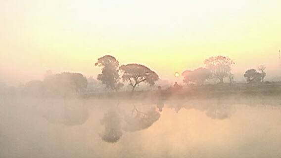 Pune Weather : अवकाळीची विश्रांती, गारठा वाढला; किमान तापमानात घसरण ABP Majha