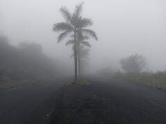 PHOTO : फोटो पाहून विश्वास बसणार नाही, पण हे आपलं पुणेच आहे...