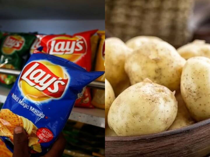 Pepsi co's Patent rights for FC5 Potato for Lays manufacturing cancelled in India எங்க ஊர்ல விளையுது.. காப்புரிமை உங்களுக்கா? லேஸ் சிப்ஸுக்கு குட்டு.! விவசாயிகள் ஹேப்பி!!