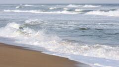 Cyclone Jawad: উত্তাল পুরীর সমুদ্র, চলছে সমুদ্রতট পর্যটকশূন্য করার কাজ | Bangla News