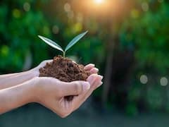 World Soil Day 2021: আজ বিশ্ব মৃত্তিকা দিবস-একনজরে দিনটির গুরুত্ব, ইতিহাস ও এ বছরের থিম