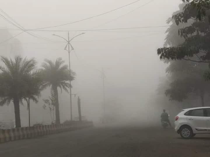 सकाळच्या वेळी दाट धुक्याने 10 फूट अंतरावरील रस्ता स्पष्टपणे दिसत नसल्याने लाईट लावूनच वहाने चालवावी लागत आहेत.