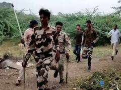 Buldhana Tiger Terror : बुलढाण्यातील खामगावमध्ये वाघाची दहशत, परिसरात जमावबंदी लागू, सर्च ऑपरेशन सुरु