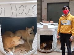 Delhi News: सर्दियों में बेजुबानों को मिला आशियाना, युवक ने पानी की टंकी में बनाया डॉग हॉउस