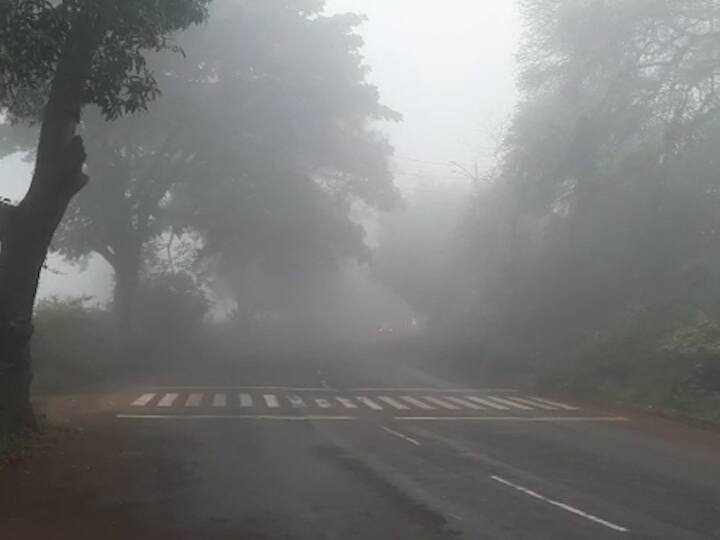 शहरातील नागरिक धुक्याचा आंनद घेत असले तरी ग्रामीण भागातील द्राक्ष उत्पादक शेतकऱ्यांची चिंता वाढली आहे.