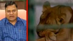 અમદાવાદ: કુમકુમ મંદિરમાં ભગવાનને ઠંડીથી બચાવવા હીટરની વ્યવસ્થા, જુઓ ગુજરાતી ન્યુઝ