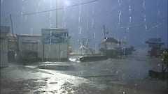 Cyclone Jawad: জওয়াদ-জেরে দিঘা-বকখালিতে উত্তাল সমুদ্র, কলকাতাতেও একনাগাড়ে বৃষ্টি | Bangla News