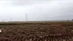 Cyclone Jawad: 'পাকা ধানে মই' দেবে দুর্যোগ? আশঙ্কায় মেদিনীপুরের চাষিদের কপালে চিন্তার ভাঁজ | Bangla News